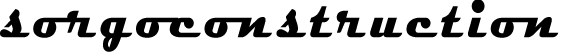 sorgoconstruction